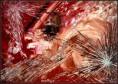 /album/fotogaleria/signaly-jpg/